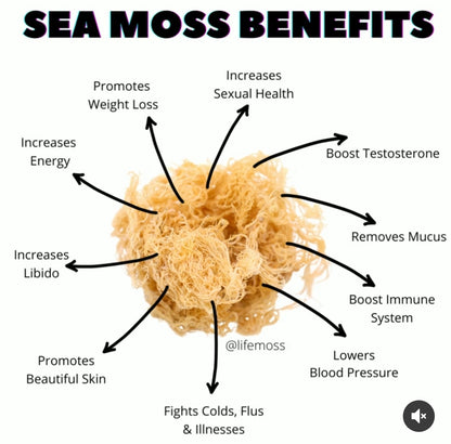 Sea Moss Gel